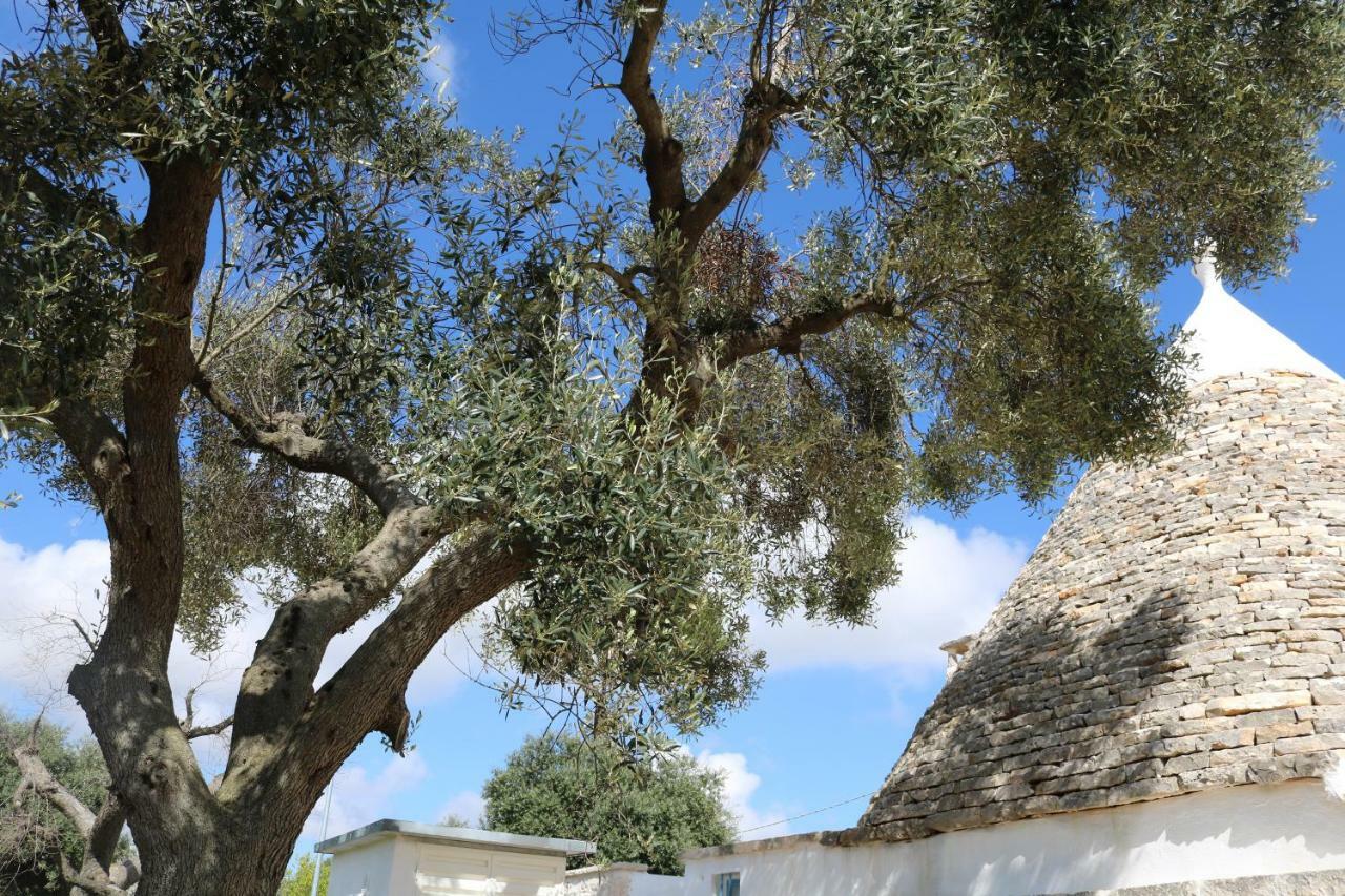 Trulli Alla Controra Conversano Exteriér fotografie